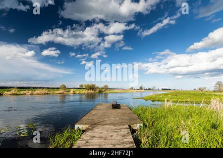 Europe, Pologne, Grande Pologne, forêt de Notecka - fleuve Notec près de Wrzeszczyna Banque D'Images