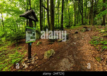 Europe, Pologne, Swietokrzyskie, Swiety Krzyz Banque D'Images