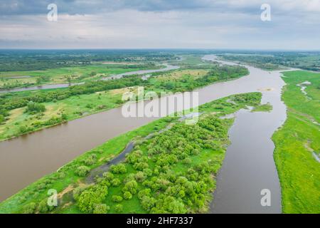 Europe, Pologne, Voivodeship Masovian, Bug River Banque D'Images