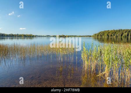 Staffelsee près de Murnau, haute-Bavière, Bavière, Allemagne Banque D'Images