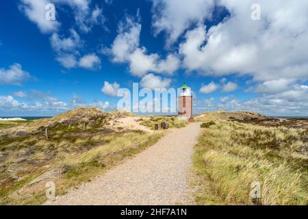 Feu de marque croisée dans les dunes près de Kampen, Ile de Sylt, Schleswig-Holstein, Allemagne Banque D'Images