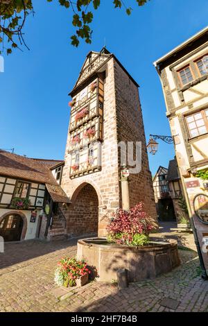 Dolderturm, Musée du Dolder, Riquewhir, route des vins d'Alsace, Gran d'est,France Banque D'Images