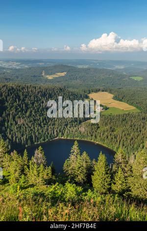 Vue de Seebuck (1449m) sur Feldberg à Feldsee, Forêt Noire du Sud, Bade-Wurtemberg, Allemagne Banque D'Images