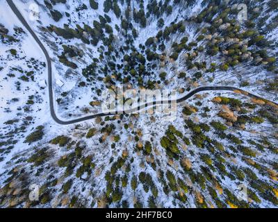 Italie, province de Belluno, Val di Zoldo, Dolomites, vue surélevée d'une route alpine entourée d'arbres, Passo Duran Banque D'Images