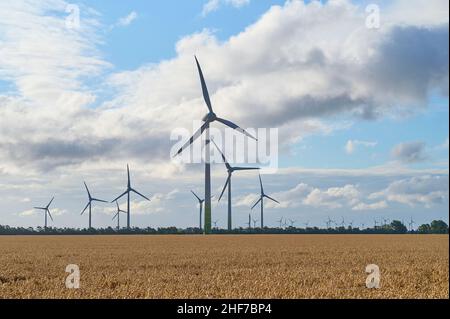 Champ de blé, éolienne, nuages, soir, été,Fehmarn, île de la mer Baltique, district d'Ostholstein, Schleswig-Holstein, Allemagne Banque D'Images