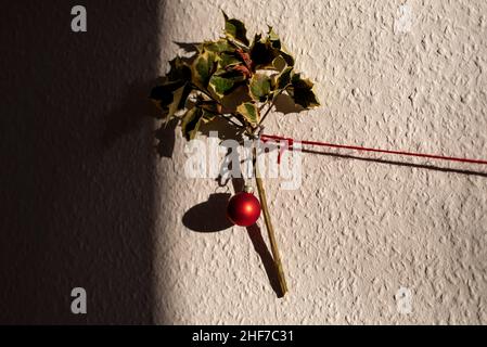 Une boule de Noël rouge est suspendue sur une branche de houx. Banque D'Images