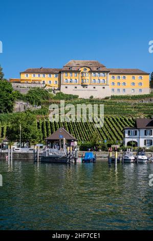 Allemagne, Bade-Wurtemberg, région de Tübingen, Bodenseekreis, Lac de Constance,Meersburg, cave de vinification Banque D'Images