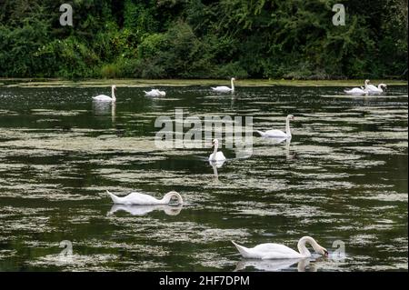 France, Lorraine, Grand est, Meurthe-et-Moselle, Villey-Saint-Etienne,Les espaces naturels, randonnées sensibles, les sites de la vallée du Terrouin Banque D'Images