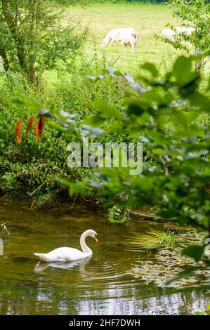 France, Lorraine, Grand est, Meurthe-et-Moselle, Villey-Saint-Etienne,Les espaces naturels, randonnées sensibles, les sites de la vallée du Terrouin Banque D'Images