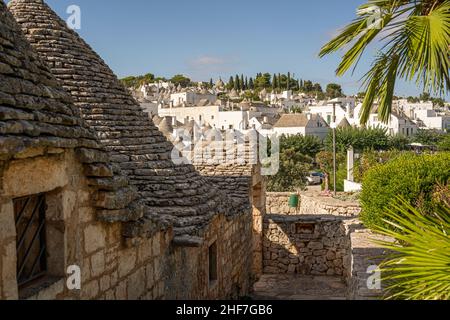 Maisons en pierre de Trulli à Alberobello, Puglia, Italie Banque D'Images