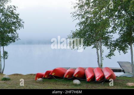 Suède, Varmland, ambiance matinale au lac Övre Brocken, brouillard, location de canoë Banque D'Images