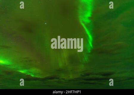 Norvège, Lofoten, Vestvagøya, Eggum, Aurora borealis multicolore Banque D'Images