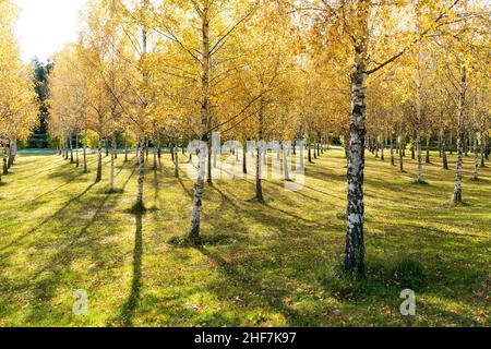 Suède, Stockholm, Skogskyrkogården, cimetière, site du patrimoine mondial de l'UNESCO Banque D'Images