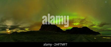 Panorama, Norvège, Lofoten, Vestvagøya, Eggum,lumières polaires, silhouette de montagne, troupeau de moutons Banque D'Images