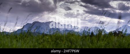 Orage sur les montagnes Wetterstein photographiées de Wallgau, herbe en premier plan, Bavière, Allemagne Banque D'Images