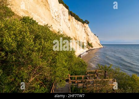 Vordingborg, falaises de craie de Moens Klint, mer Baltique, escalier menant à la plage, randonneur à Moens Klint, Moen, Danemark Banque D'Images