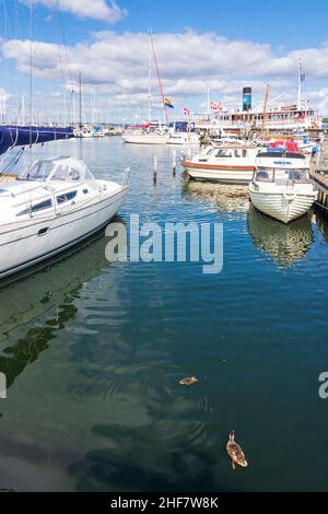 Roskilde, marina, Roskilde Fjord à Roskilde, ZELANDE, Sealand, Sjaelland, Danemark Banque D'Images