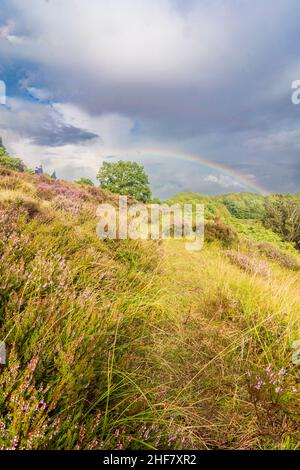 Rebild, parc national de Rebild, Heath, arc-en-ciel à Rebild Bakker, Jylland, Jutland, Danemark Banque D'Images