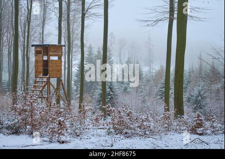 cachette surélevée, forêt à feuilles caduques, hêtre, chêne, neige,Hiver, Spessart, Bavière, Allemagne Banque D'Images