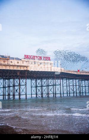 La murmure de Starling au-dessus de Brighton Pier au début de 2021 a pris un jour couvert. Banque D'Images