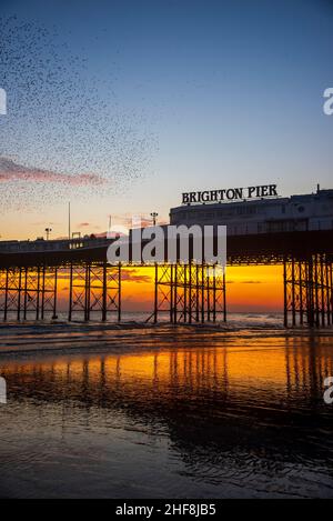 Starling Murmuration au-dessus de Brighton Pier sur une marée basse avec un beau coucher de soleil Banque D'Images