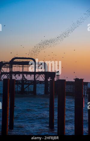 Les amidons dansent sur les vestiges de la jetée ouest de Brighton à Dusk Banque D'Images