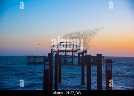 Les amidons dansent sur les vestiges de la jetée ouest de Brighton à Dusk Banque D'Images