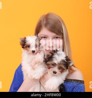 adorable jeune fille avec le castor mignon petits chiots Banque D'Images