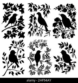 Ensemble vectoriel de silhouettes noires d'oiseaux chanteurs sur des branches avec des feuilles et des fleurs Illustration de Vecteur