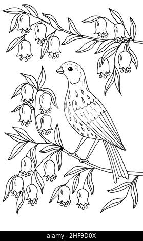 Un bel oiseau est assis sur une branche d'un arbre en fleurs.Page de coloriage pour les enfants et les adultes.Illustration vectorielle. Illustration de Vecteur