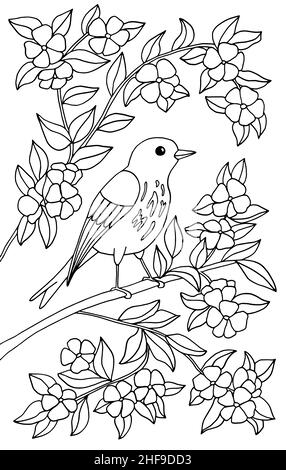 Un bel oiseau est assis sur une branche d'un arbre en fleurs.Page de coloriage pour les enfants et les adultes.Illustration vectorielle. Illustration de Vecteur