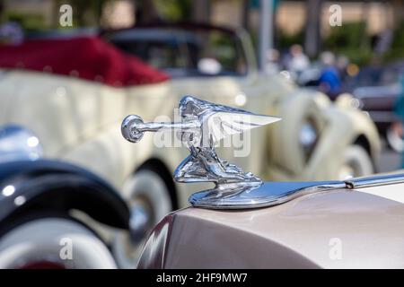 L'ornement de capot 'Déesse de la vitesse' décore une automobile ancienne Packard 1936 120B. Banque D'Images