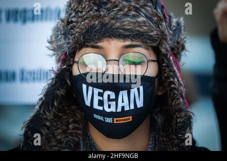 Ankara, Turquie.14th janvier 2022.Un manifestant portant un masque « Vega » participe à la manifestation au siège du ministère de l'Agriculture et des forêts.Dans le cadre de la loi sur la protection des animaux, qui est entrée en vigueur en Turquie en juillet 14.01.2020, dernier jour de stérilisation des races de chiens dangereuses, les amoureux des animaux qui s'opposent à cette décision se sont réunis en dehors du Ministère de l'agriculture et des forêts à Ankara.Crédit : SOPA Images Limited/Alamy Live News Banque D'Images