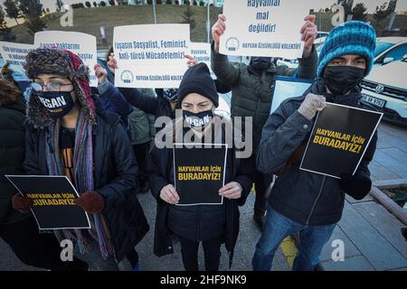 Ankara, Turquie.14th janvier 2022.Les manifestants tiennent des écriteaux exprimant leurs opinions au cours de la manifestation au siège du Ministère de l'agriculture et des forêts.Dans le cadre de la loi sur la protection des animaux, qui est entrée en vigueur en Turquie en juillet 14.01.2020, dernier jour de stérilisation des races de chiens dangereuses, les amoureux des animaux qui s'opposent à cette décision se sont réunis en dehors du Ministère de l'agriculture et des forêts à Ankara.Crédit : SOPA Images Limited/Alamy Live News Banque D'Images