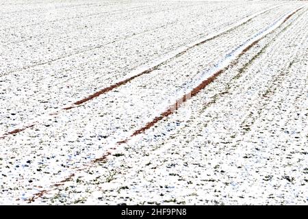 marque du pneu sur le champ de neige en hiver Banque D'Images