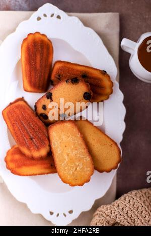 Magnifique biscuits Shell Madeleine gros plan sur la table, Madeleine avec des jetons de chocolat Banque D'Images