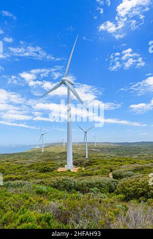 Éoliennes surplombant l'océan à Albany Wind Farm, péninsule de Torndirrup, Albany, Australie occidentale, Australie Banque D'Images