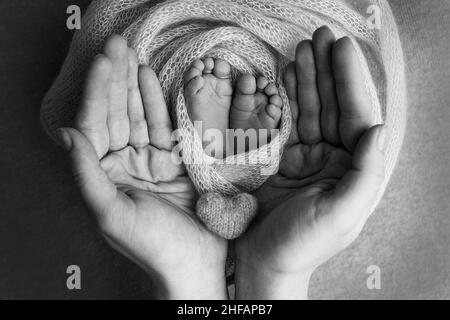 Les paumes du père, la mère tient le pied du bébé.Pieds du nouveau-né sur les paumes des parents. Banque D'Images