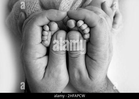 Les paumes du père, la mère tient le pied du bébé.Pieds du nouveau-né sur les paumes des parents. Banque D'Images