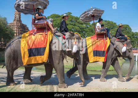 AYUTTHAYA, THAÏLANDE - 01 JANVIER 2017 : trekking à dos d'éléphant dans le centre historique de la ville d'Ayutthaya Banque D'Images