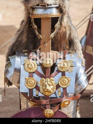 Équipement de Sigifer ou support standard des légions romaines.Ces officiers romains ont couvert leurs casques de fourrures de loups Banque D'Images