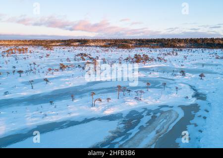 Tourbière vintatique avec des lacs de tourbière congelés et de petits pins pendant un beau coucher de soleil aux couleurs pastel dans le parc national de Soomaa, Estonie. Banque D'Images