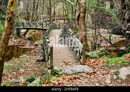 Groupes de ponts, ponts en bois et petit étang et rivière, saison d'automne, couleurs d'automne. Feuilles séchées. Banque D'Images