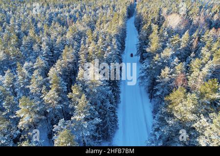 Aérien d'une voiture qui roule sur un arbre enneigé au milieu de la forêt boréale pendant une journée d'hiver en Europe du Nord. Banque D'Images