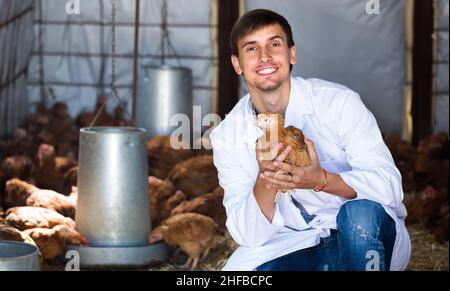 Portrait d'homme gai vétérinaire avec poulet Banque D'Images