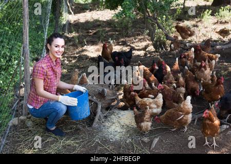 Agricultrice avec seau sur ferme avicole. Banque D'Images