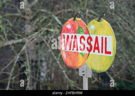 Leominster, Herefordshire, Royaume-Uni - Samedi 15th janvier 2022 - panneau de Wassail à la cérémonie de Wassail dans le verger communautaire de Leominster - l'ancienne cérémonie de Wassail implique la récitation des incantations et le chant dans le verger de pomme pour promouvoir une bonne récolte pour la prochaine récolte.Photo Steven May / Alamy Live News Banque D'Images