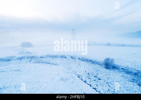 Paysage d'hiver brumeux avec un arbre solitaire en Estonie, en Europe du Nord. Banque D'Images