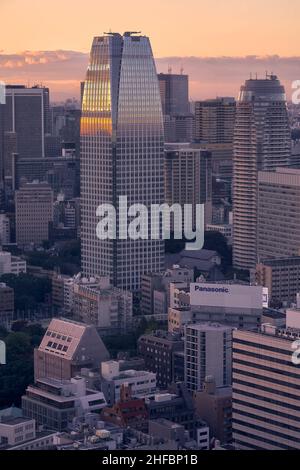 Tokyo, Japon – 13 novembre 2007 : le Mori des collines vertes d'ATAGO et la tour de la forêt entourée par les gratte-ciels de la ville de Minato, comme vu de la ce du commerce mondial Banque D'Images