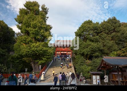 Kamakura, Japon – 14 novembre 2007 : grandes étapes en pierre le long de l'approche principale de la porte Romon et du bâtiment principal du sanctuaire (Jogu) de Tsurugaoka Hachima Banque D'Images